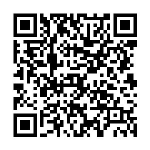 络腮胡就知道这里的矮人根本不知道这棵树的神奇之处二维码生成
