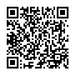 绝不会轻易将至关重要的控制权限交给别人的吧二维码生成
