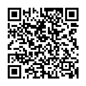 绝世力量而成的可怕剑芒竟是直接和金夏的可怕攻击对轰在一起二维码生成