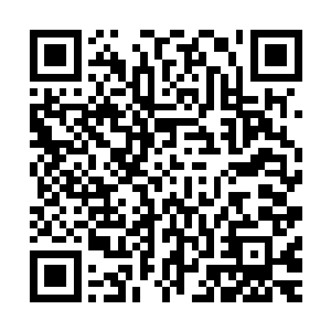 绝大多数也不懂得推演局势变化倘若某位议员是因为武力超卓二维码生成