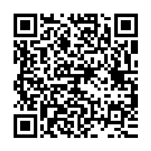 绝大多数修仙者脑中过去那些荒唐和无谓的岁月纷纷黯淡下去二维码生成