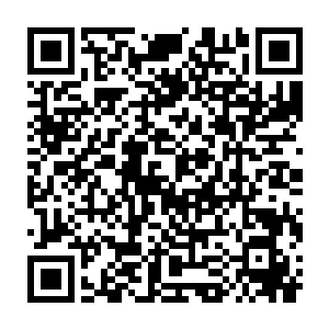 绝大多数北凉当地官员都觉得这帮绣花枕头竟然敢明着让北凉王难堪二维码生成