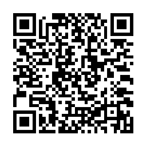 绝大部分海洋霸主都将小银鱼当成食谱上的主菜之一二维码生成