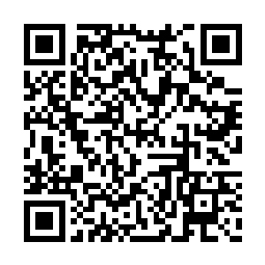 绝大部分股东对这个别墅区的设计都存在着异议二维码生成