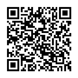 绝对不会逊色于之前追杀自己的尸魔族半步大帝二维码生成