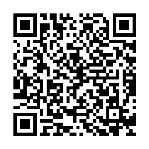 绝对不是花拳绣腿的三脚猫……搞不好还是茅山派的核心弟子二维码生成