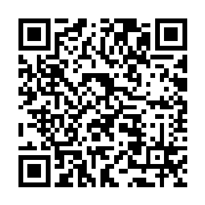 绝对不能再加剧踏雪无痕墨角腾云兽对大家的怒意了二维码生成