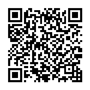 绝对没有尝试干扰理查德实验室和华锐实验室的科研竞争二维码生成