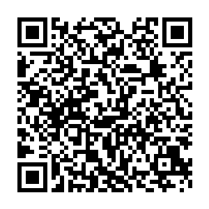 绝对禁止智能和感情的产生是作为绝对优先程序写进芯片的核心序列的二维码生成