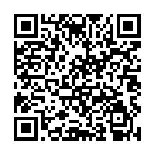 绝望恐慌带来的破坏性绝对不会逊色与一次世界大战二维码生成