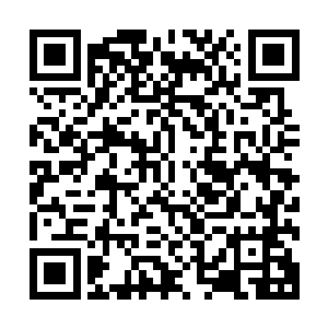 继承了上古大量资料的芯片同样也将这些数据整理收集了起来二维码生成