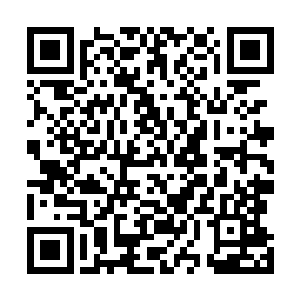 继续专心翻看傅采宁发来的314份入围终试英才的简历资料二维码生成