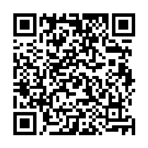 继续吵着架……看来从这两名npc身上是得不到什么提示的二维码生成