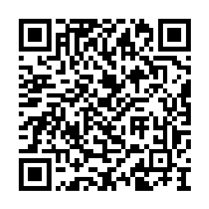 继续用幽崎黑蟒的鲜血浇灌可以再次孕育出莲子二维码生成