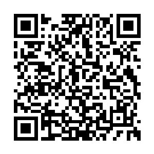 继而一向鲜露面的七杀出现了在众人的视野之中二维码生成