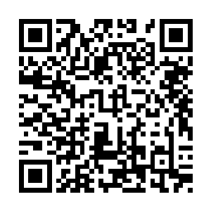 绯雨师叔酿造的千红花酿中蕴藏的能量不能小觑二维码生成