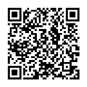 维冈竞技的主教练还是很有风度地向贝尼特斯表示了祝贺二维码生成