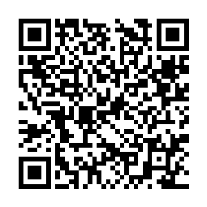 维坎德连英语都说不好的人不知道她对艺术的热诚二维码生成