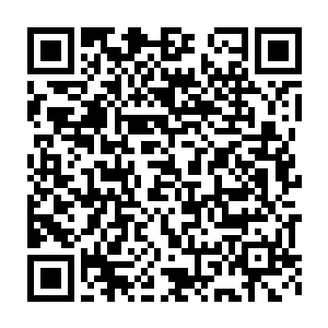 维护自然界的基本秩序和各物种之间的平衡是守护之神教派的基本教义二维码生成