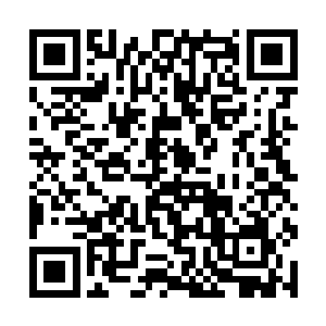 维林顺手扯过一边木架上的白色毛巾擦着上身的热汗二维码生成