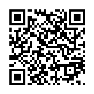 绵州市zhengfu开出了高达三千万的罚单二维码生成