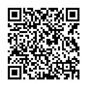 绷不住一脸好笑的在程兆儿和圆圆两人间看了一圈儿二维码生成