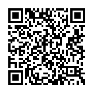 综合实力却是比天南宗阵营这边还要高出一筹的二维码生成