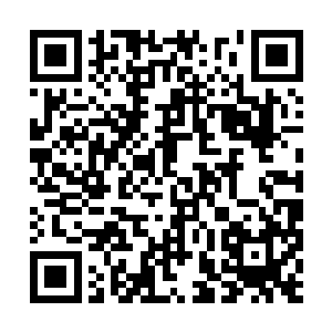 绿洲乐队的四名成员分别站在泳池旁边的不同位置二维码生成