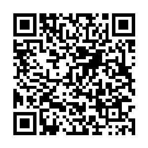 编个夸张的故事和合理的故事并不会有明显的难度二维码生成
