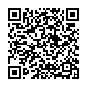 缠绕着张铁手臂的海蛇像一条没有生命的软绳子一样二维码生成