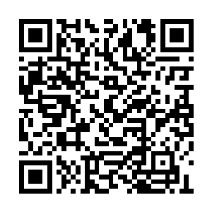 缠绕而来的银发便将黑衣妇人给缠了个严严实实二维码生成