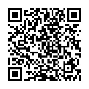 缠龙大师在有那个元神相助的情况下竟然还败了二维码生成