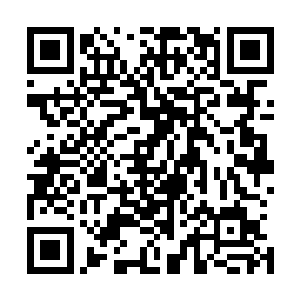缥缈峰所酿的仙灵果酒以及这些果子可都是上好的天地灵宝二维码生成