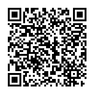 缩在金龟壳中的木鼓卜域像是一个马球杆打飞的马球一样瞬间被击飞二维码生成
