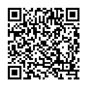 缩地成寸和修炼识海这两种功法还需要时间研究二维码生成