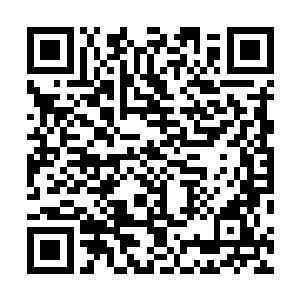 缺人随便找一个七八级佣兵都比现在的自己看上去要厉害二维码生成