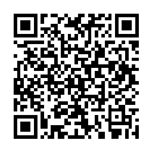 罗不凡和花仙子的身形也衣袂飘飘地向着高空飞去二维码生成