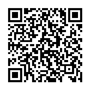 罗南小得找都找不到的人不知道她简直是为表演而生二维码生成