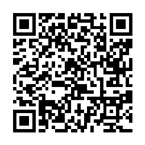 罗坷实在是想不通还有什么力量会比法则之力更高级二维码生成