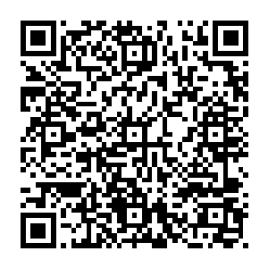罗宋远远瞥了一眼没有多少能量却愣是靠着本体防御速度跟力量而杀戮其中的代离二维码生成