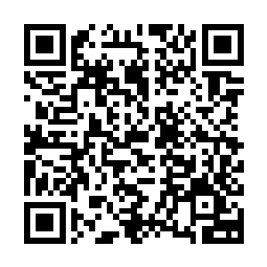 罗思塞元帅与黑星代表签署了一份为期一百年的花绿菜采购合同二维码生成