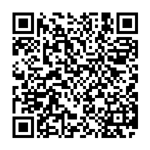 罗林手中的星陨云纹剑和幽灵战魔手上的恶魔大剑虽然没有实质上的接触二维码生成