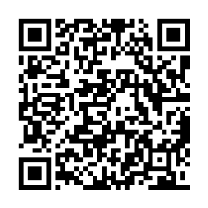 罗森伯格在制作魔戒三部曲时吃的就是这些东西二维码生成