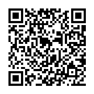 罗楼借着幻影旅团团长的名义霸占了多数的秘宝二维码生成