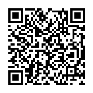 罗楼居然想起了旧社会时儿童时期看过的一部动漫二维码生成
