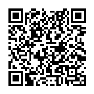 罗楼的战斗经验全都依靠着前世厮杀所攒下的经验二维码生成