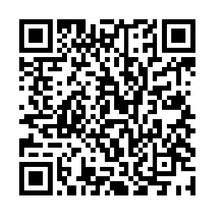 罗楼阴沉的盯着前方琅飞师正有说有笑的讨好李清书二维码生成