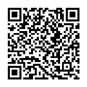 罗瑞原本端庄平静的态度顿时来了一个超级大反转二维码生成