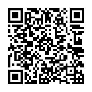 罗贞红和一众银甲护卫这才想起韩风本身是重伤之人二维码生成