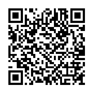 罗迪盯着人工沙滩上一个穿着比基尼的大胸女人二维码生成